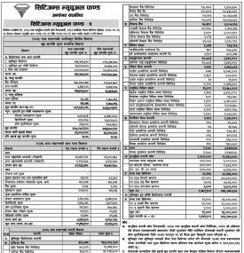 Citizen Mutual Fund - 2