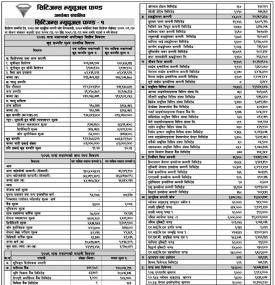 Citizen Mutual Fund - 1