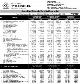 Unaudited Financial Results  (Quarterly)