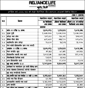 रिलायन्स लाइफको  खुद नाफा ६ करोड १८ लाख १६ हजार