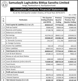 Unaudited Quarterly Financial Statement !