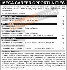 Mega Career Opportunity