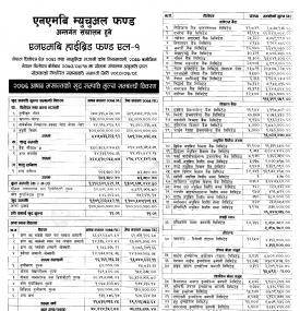 Unaudited Financial Result (NMB Hybrid Fund L-1)