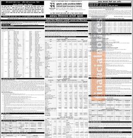 शेयरधनीका लागि अवसर: यूनाइटेड अजोड इन्स्योरेन्सको हकप्रद शेयर चैत २६ देखि खुला सम्बन्धी सूचना